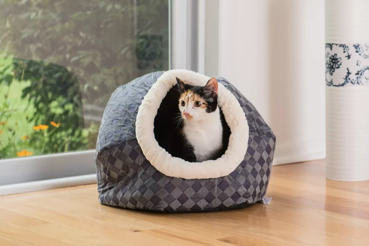 AeroMark International C44 Armarkat Cat BedBlue Checkered