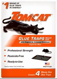 AP & G Co 254256 Mouse & Insect Glue Trap, Pack of 6