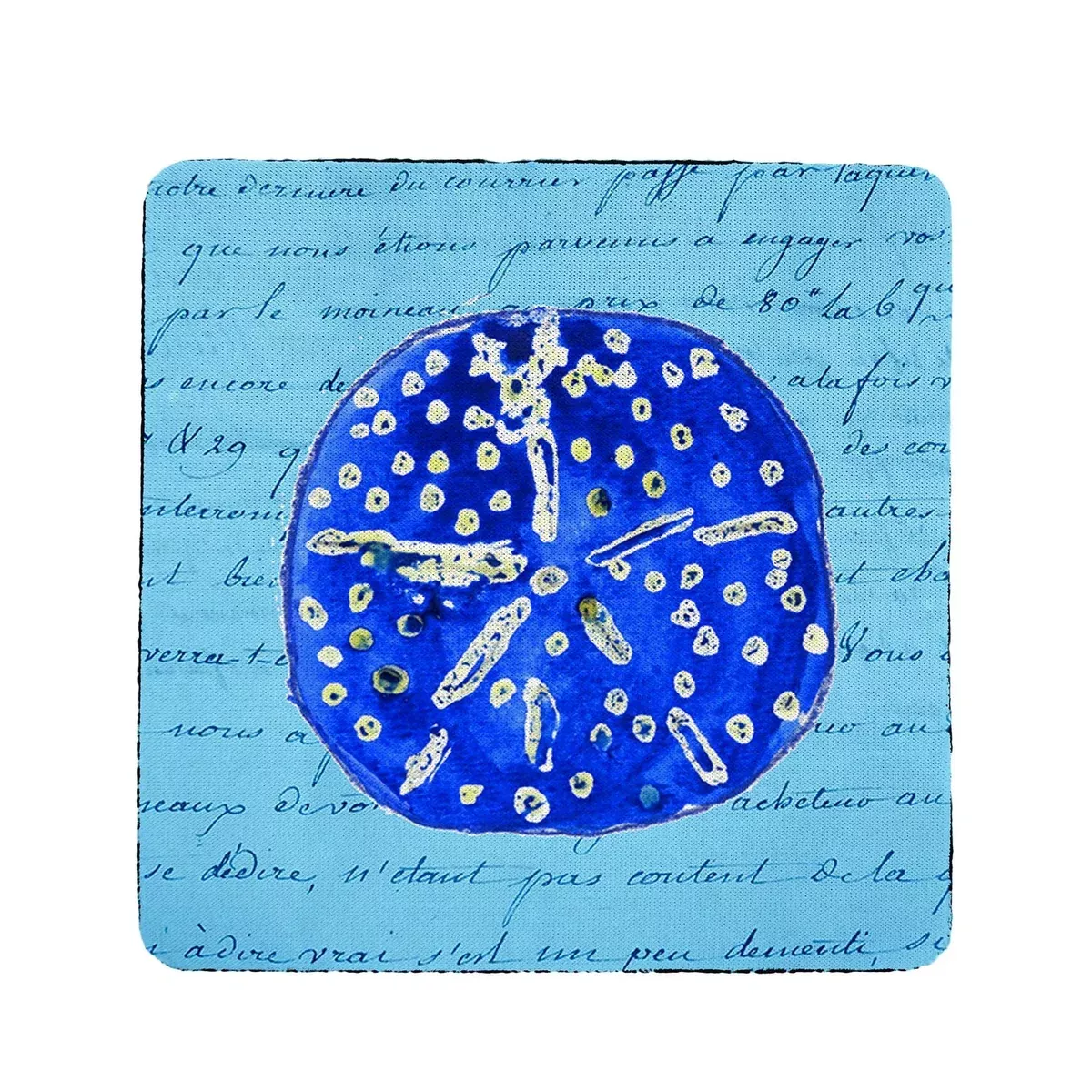 Betsy Drake Blue Sand Dollar Coaster Set of 4
