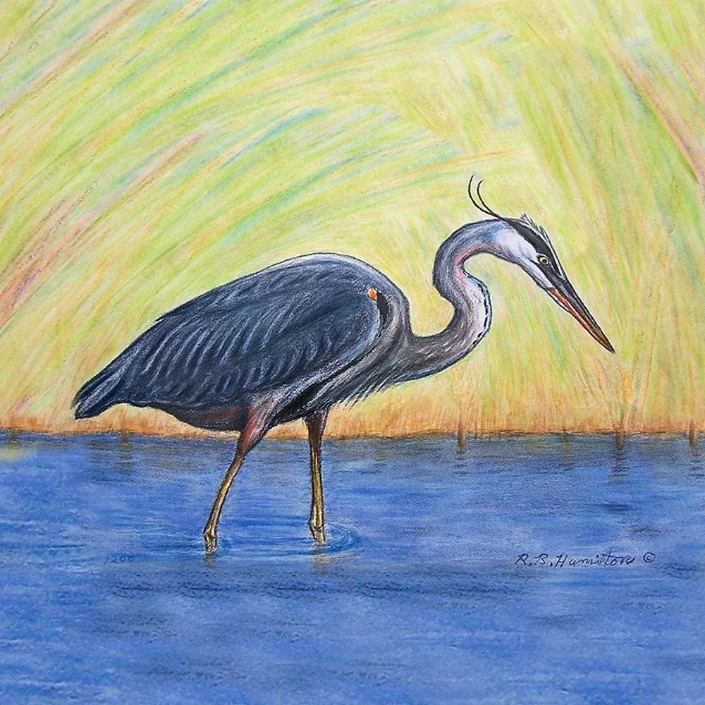 Betsy Drake CT027 Blue Heron Coaster, Set of 4, 4"x4", Multicolor, 4 Piece
