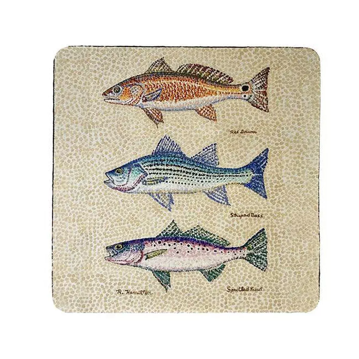 Betsy Drake CT1436 Creek Fish Coaster - Set of 4