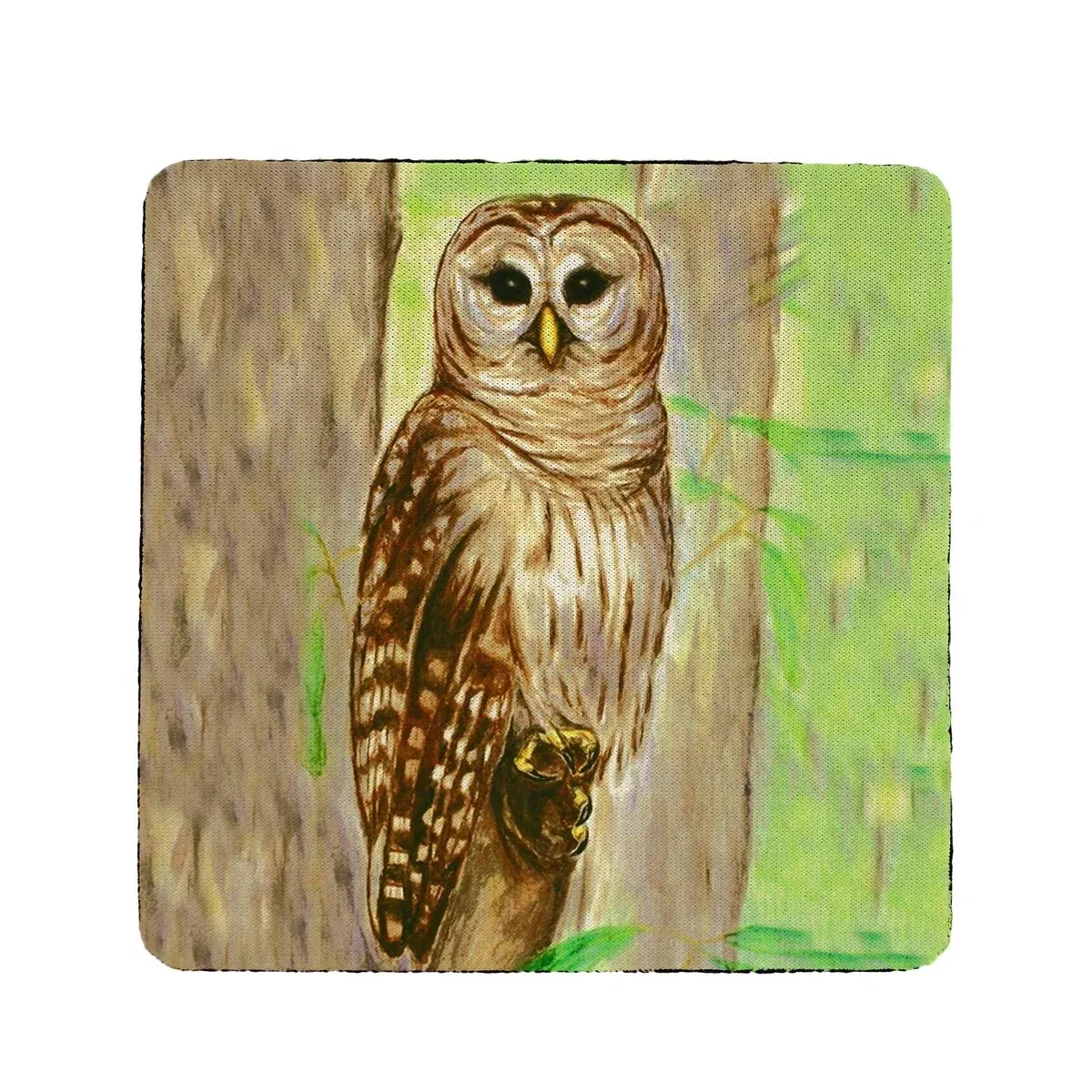 Betsy Drake Owl Coaster Set of 4