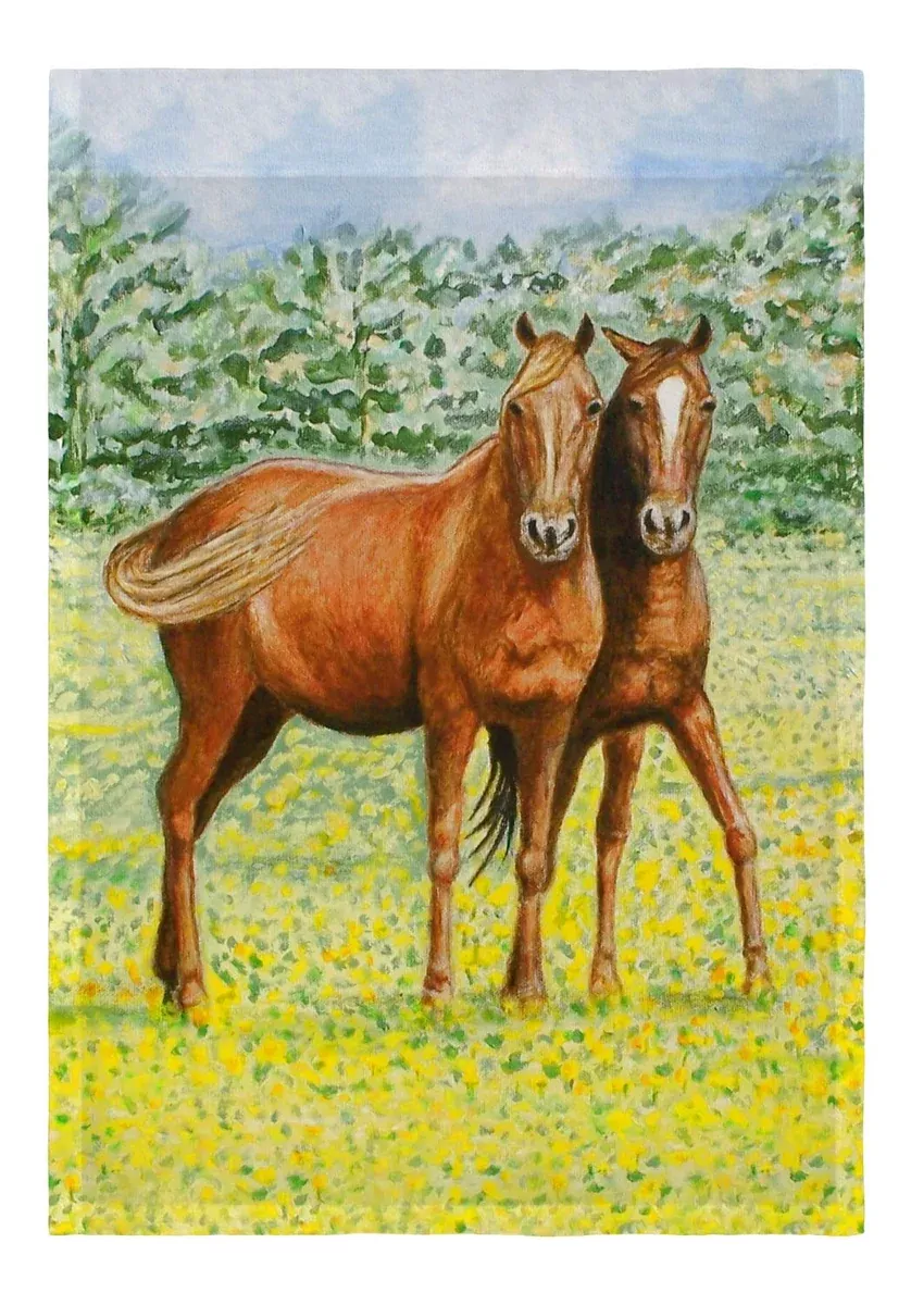 Betsy Drake Two Horses Flag 12.5x18