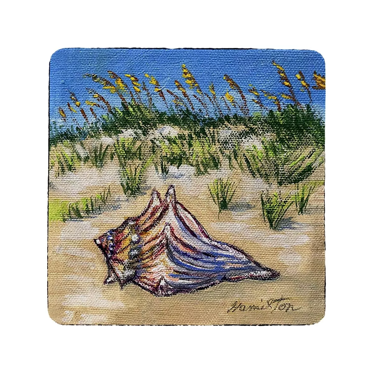 Betsydrake CT1167 Conch Found Coaster - Set of 4