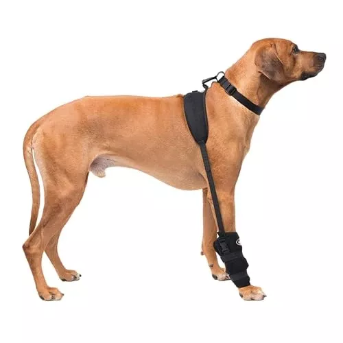 Caldera Pet Therapy Carpal Wrap with Gel, Large, Black