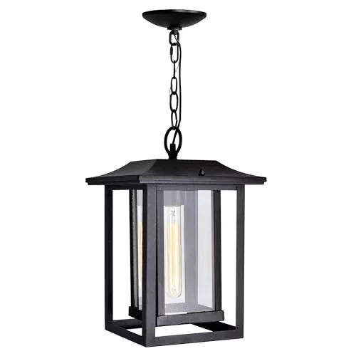 CWI Lighting Winfield 1 Light Black Outdoor Hanging Light Fom