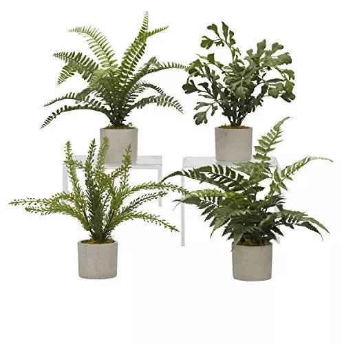 D & W Silks 179008 Assorted Ferns in Mini Cement Cylinder (Set of 4), Green/Grey