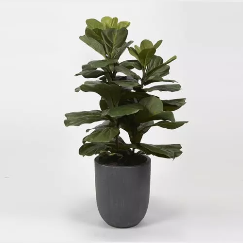 D&W Silks Fiddle Leaf Fig Plant in Round Grey Planter