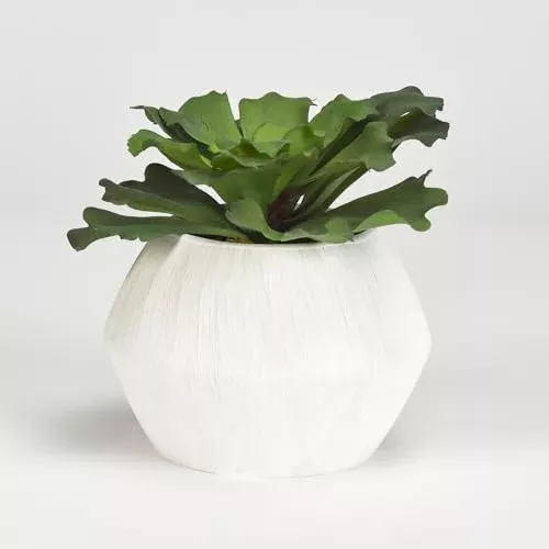 D&W Silks Large Ruffled Echeveria in White Ceramic Pot