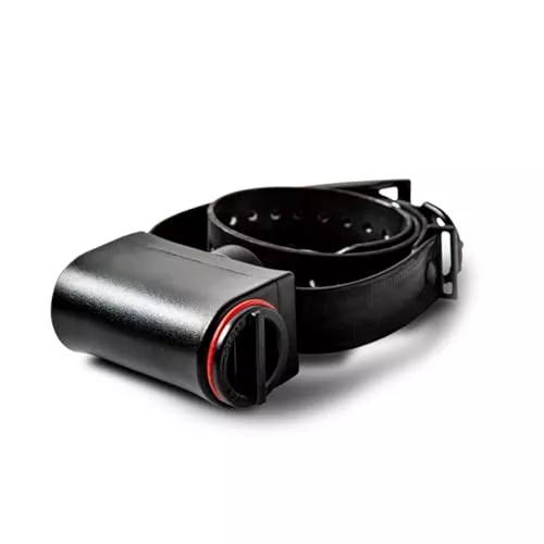 DT Systems 190DT No-Bark Collar Waterproof Lightweight Durable Barking Control Trainer for Medium, Large, X-Large Dogs, Vocal Cord Vibration Sensor, 9 Adjustable Stimulation Levels