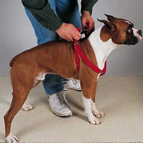 Guardian Gear 2 Step Pet Harness