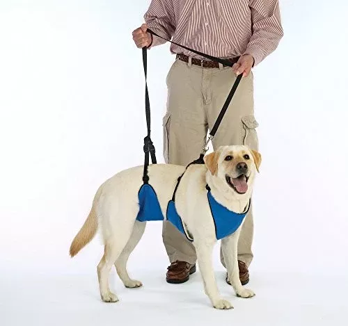 Guardian Gear Nylon Lift & Lead 4-in-1 Dog Harness, XXX-Large, Blue