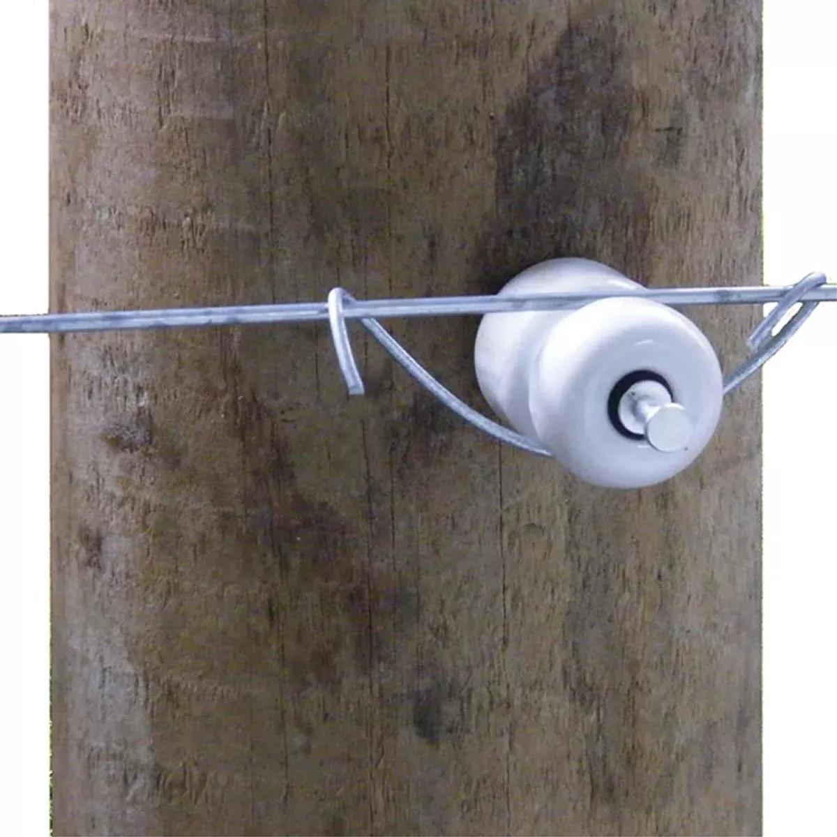Patriot - Wood Post Porcelain Insulator (with nail) (25pk)