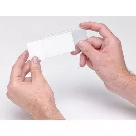 Quantum Storage LTR-1754 Clear Label Holders, 1.75 x 4 in. with Inserts