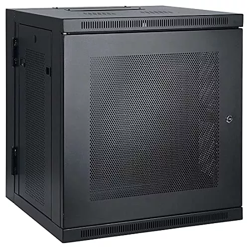 Tripp Lite 10U Wall Mount Rack Enclosure, Low Profile 20.5 inch Switch Depth, Locking Front Door & Hinged Back, Heavy-Duty Steel, 5-Year Warranty (SRW10US)