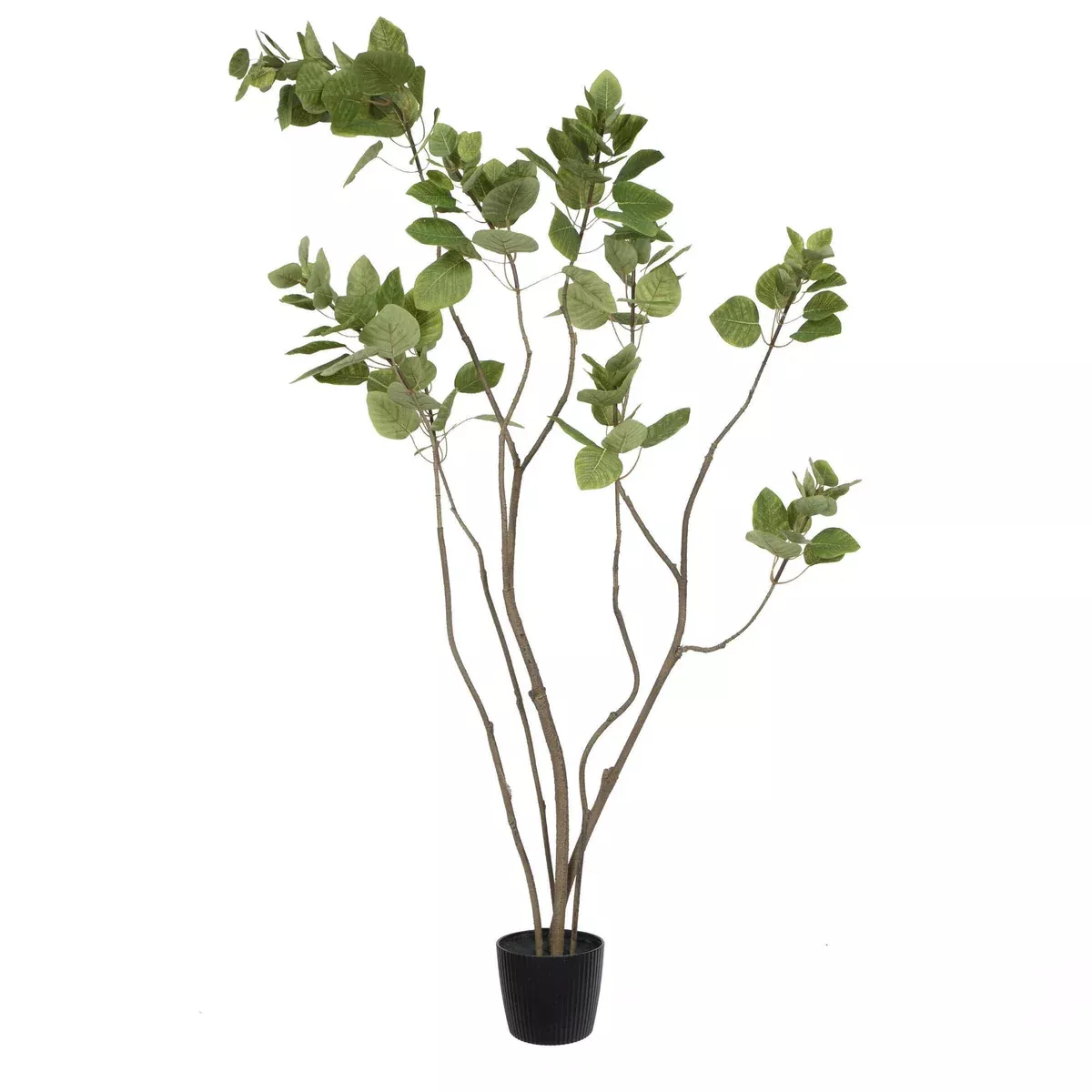Vickerman Everyday 48" Artificial Green Potted Cotinus Coggygria Tree with 177 Leaves - Lifelike Home Or Office Accent Decor - Premium Faux Potted Tree - Maintenance Free