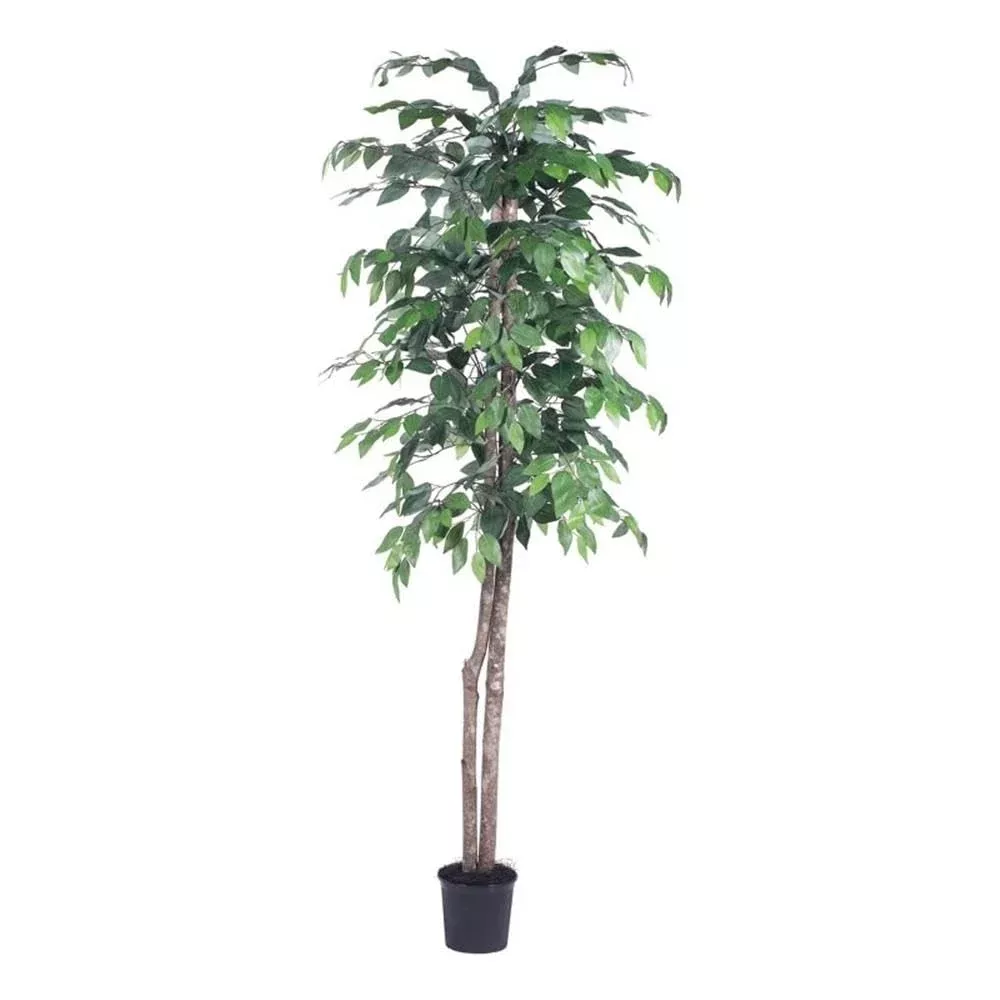 Vickerman TEC0160-07 Everyday Ficus Tree, Green Dark, 6'