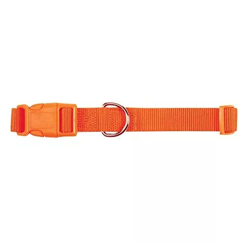 Zack & Zoey 1" Wide Nylon Dog Collar, Fits Necks 18" to 26", Orange